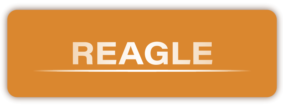 REAGLE – Messtechnik für anspruchsvolle Maschinenumgebungen